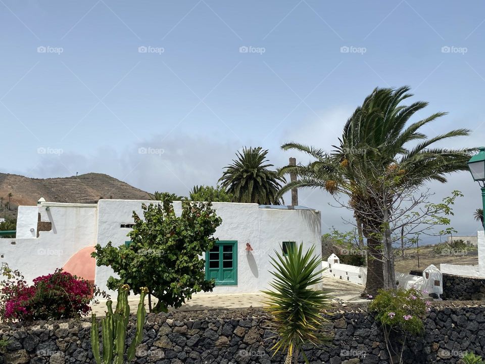 The Canarian villa