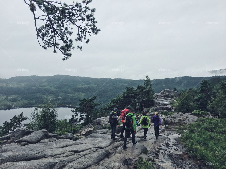 Landscape, Mountain, Travel, Tree, Nature