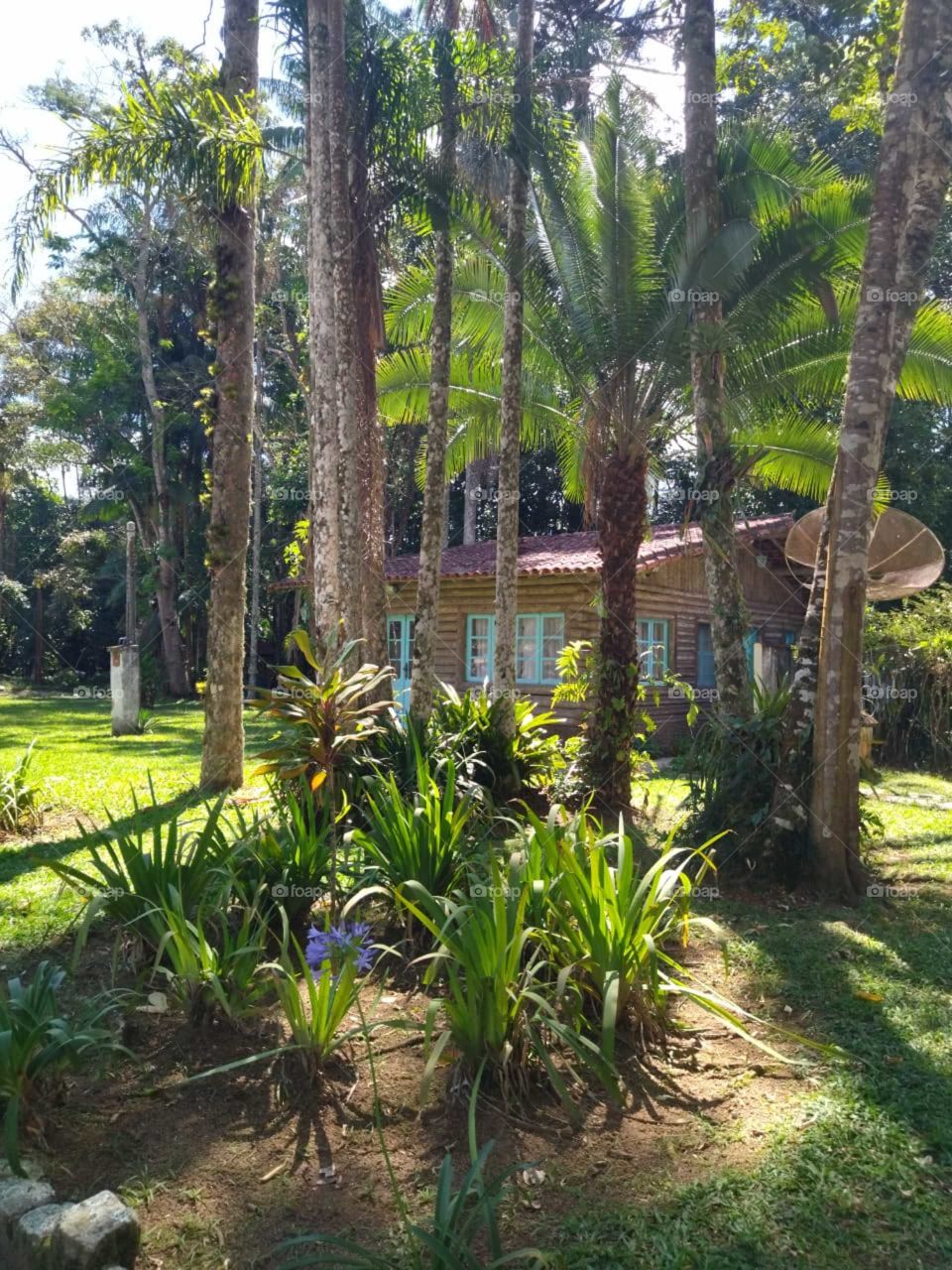 Parque Nacional de Itatiaia