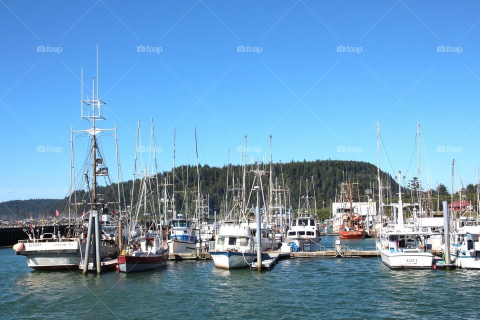 Harbor, Water, Sailboat, Yacht, Sea