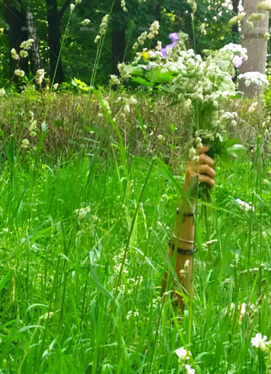 A hand with a bouquet of wildflowers that looks out from a meadow of grass