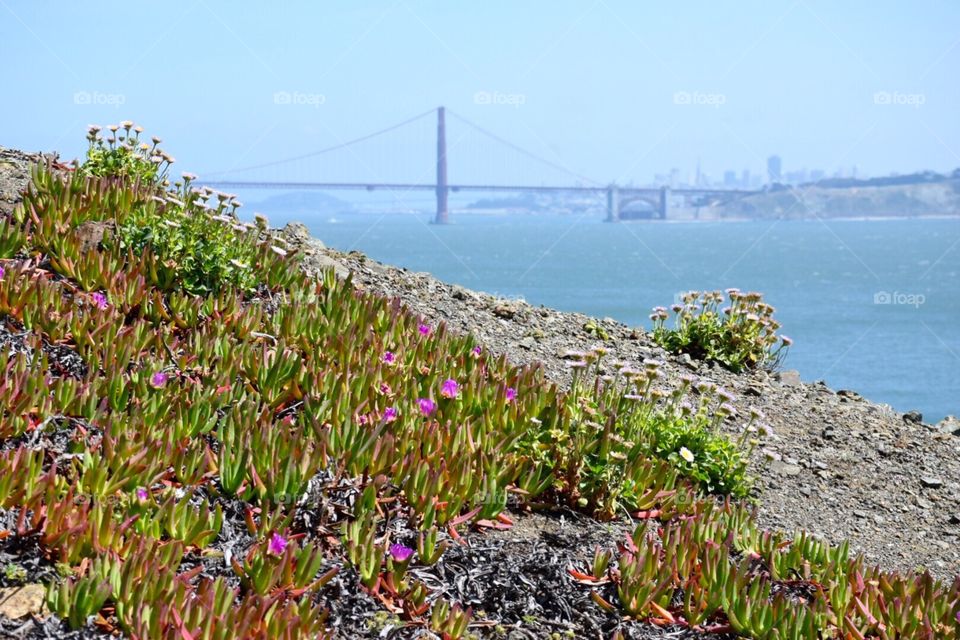 Marin Headlands view of SF