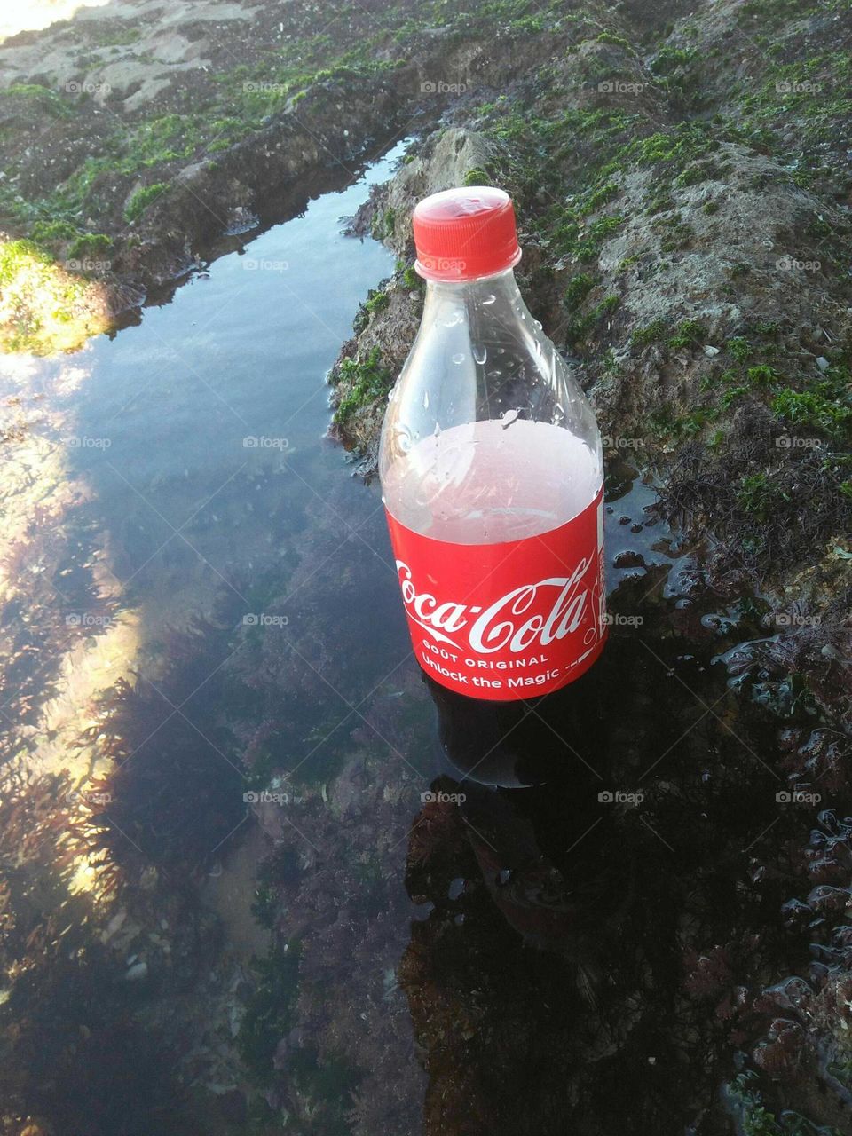 delicious bottle of fresh coca cola.