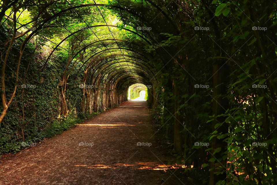 Natur tunnel