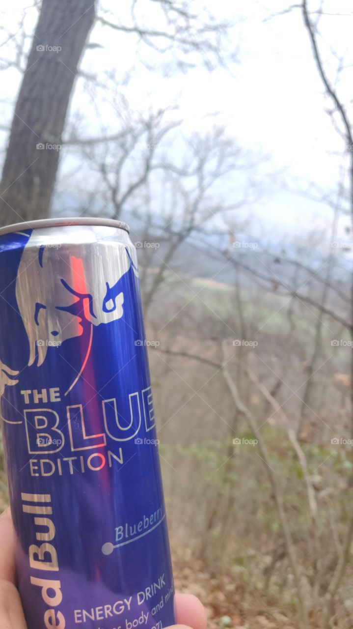 Red Bull in the woods.