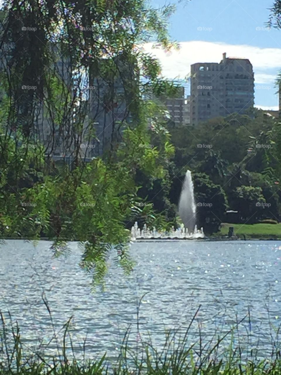 Lago no parque Ibirapuera 