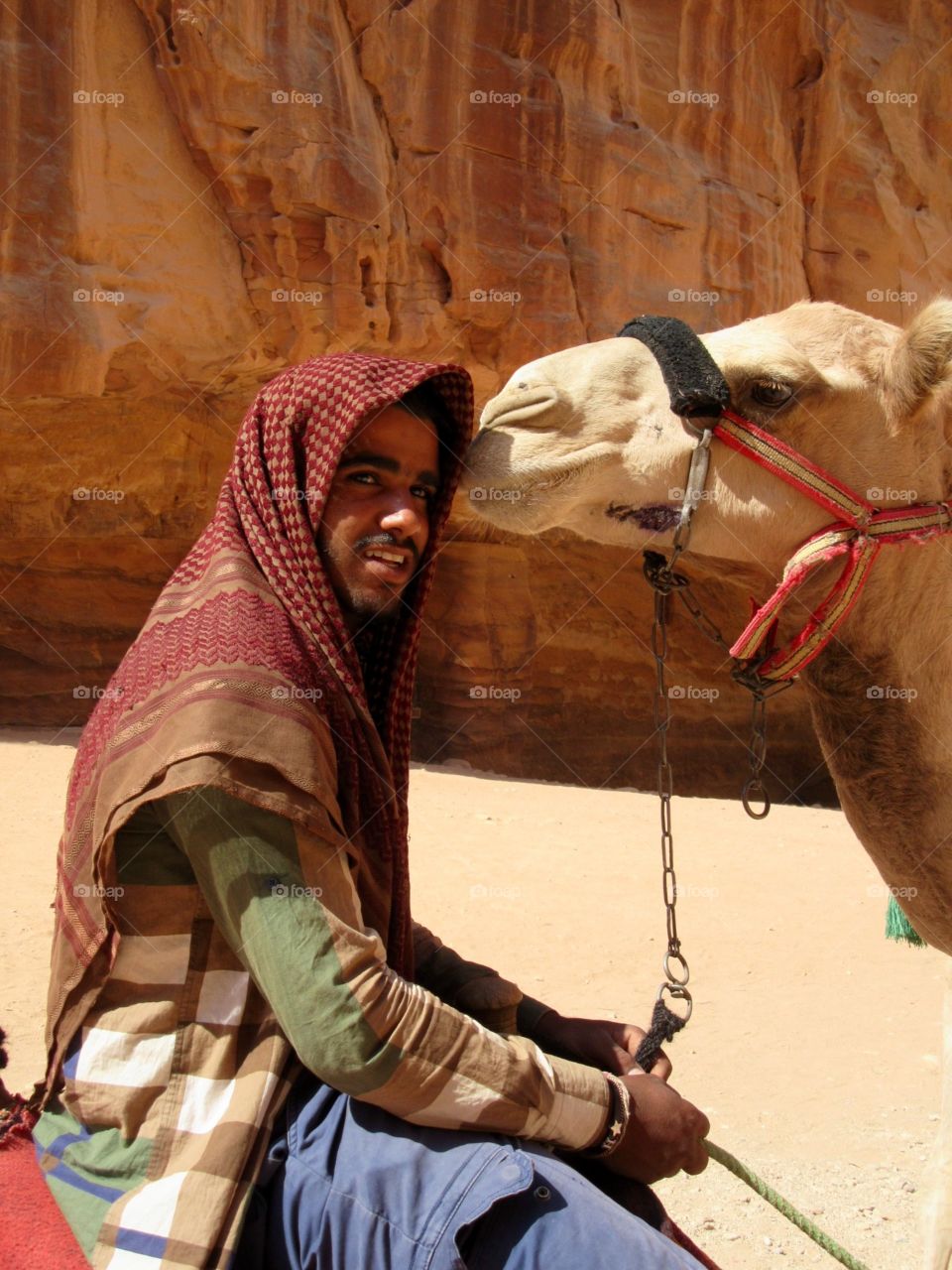Man and camel