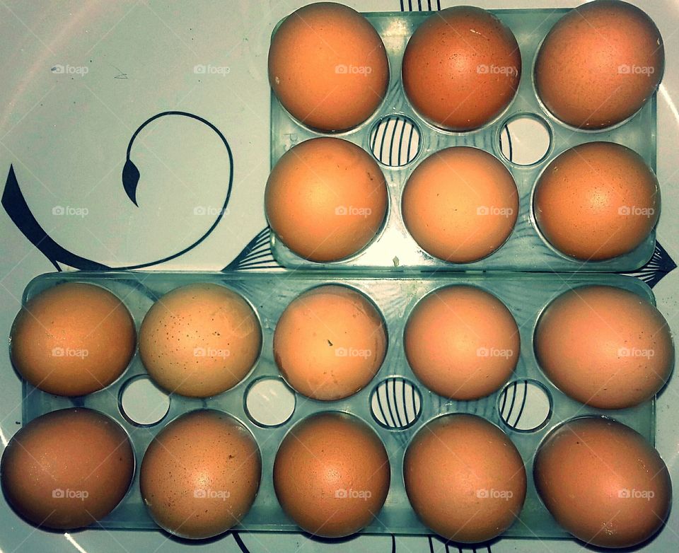 Chicken Eggs Top view