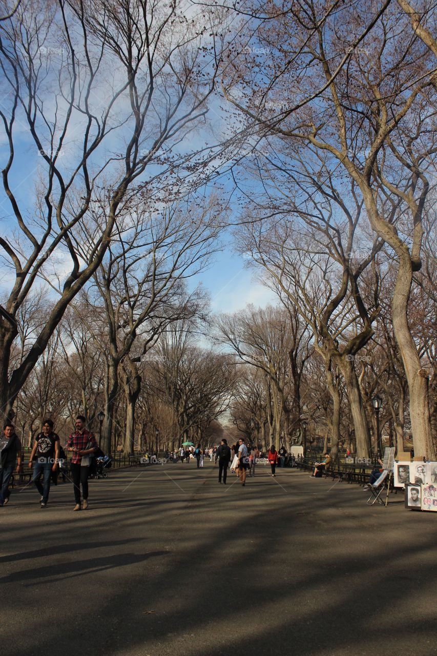 The mall in Central Park 