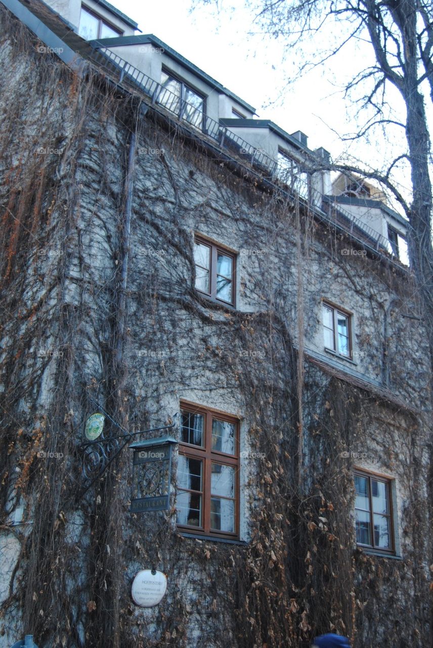 Building in foliage