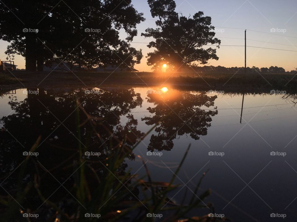 Sunrise over a puddle