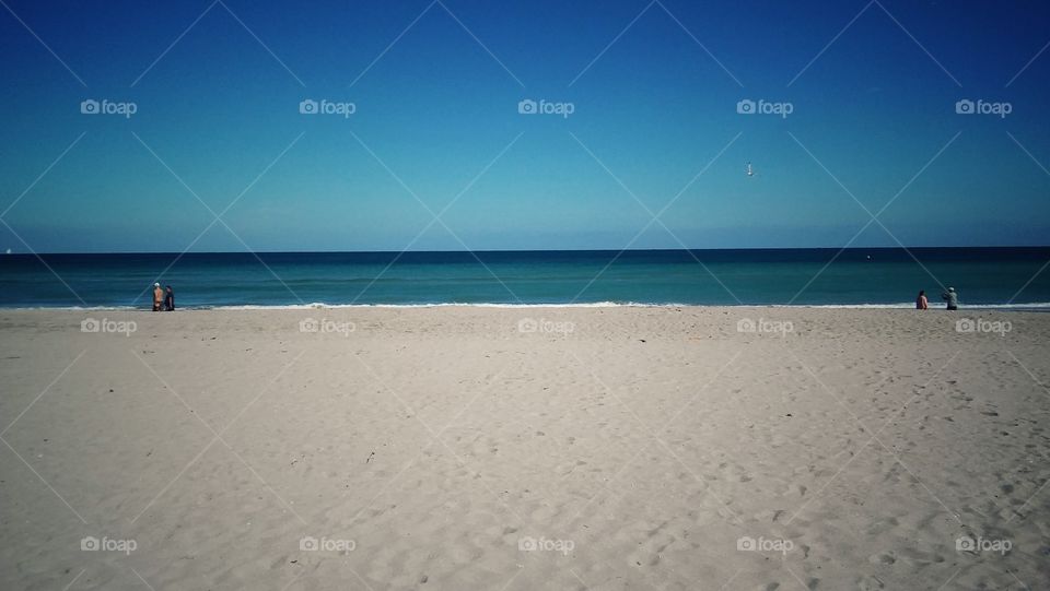 Beach at Miami