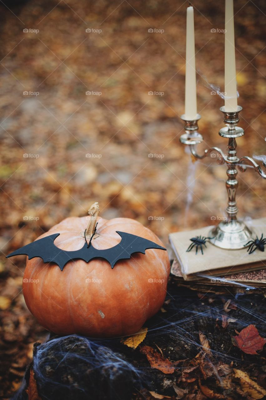 forest, night, holiday, decorations, snacks, fall, orange, black, mystery, Halloween, dark, glowing, candy, flashlight, ginger, fun, cute, fog, gloomy, burning, candle, flame, Jack, face, smile, autumn, symbol, skeleton, dark, above, scary, good, funny, background, lonely, sadness, darkness, magic, event, bat, Ghost, concept, trick, emblem, Phantom, pumpkin face, pumpkin, October, September, werewolf, mage, terrible, grim, supernatural, treat, trick or treat, horrible, wizard, Jack-lantern