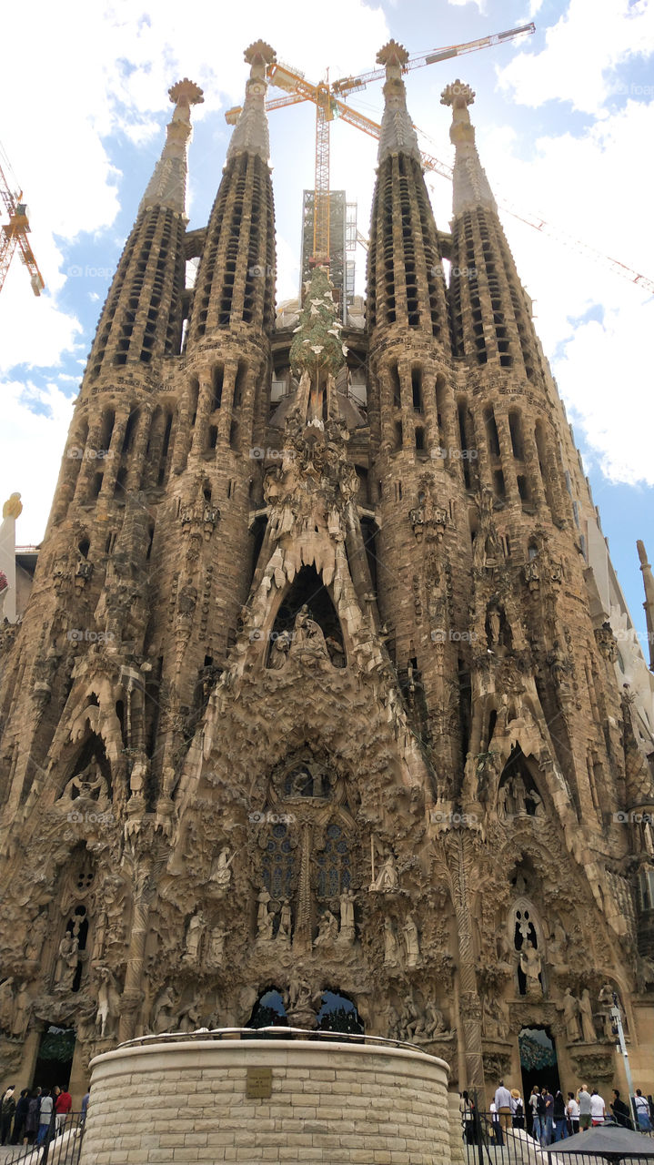 creates with passion!