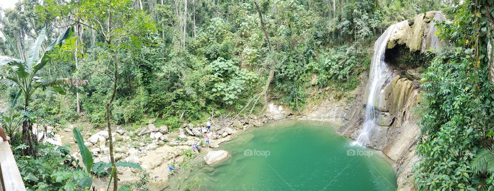 a popular waterfall watering hole. visitors walk down thru a forested pathway to the water to swim around the base of a waterfall in Puerto Rico.