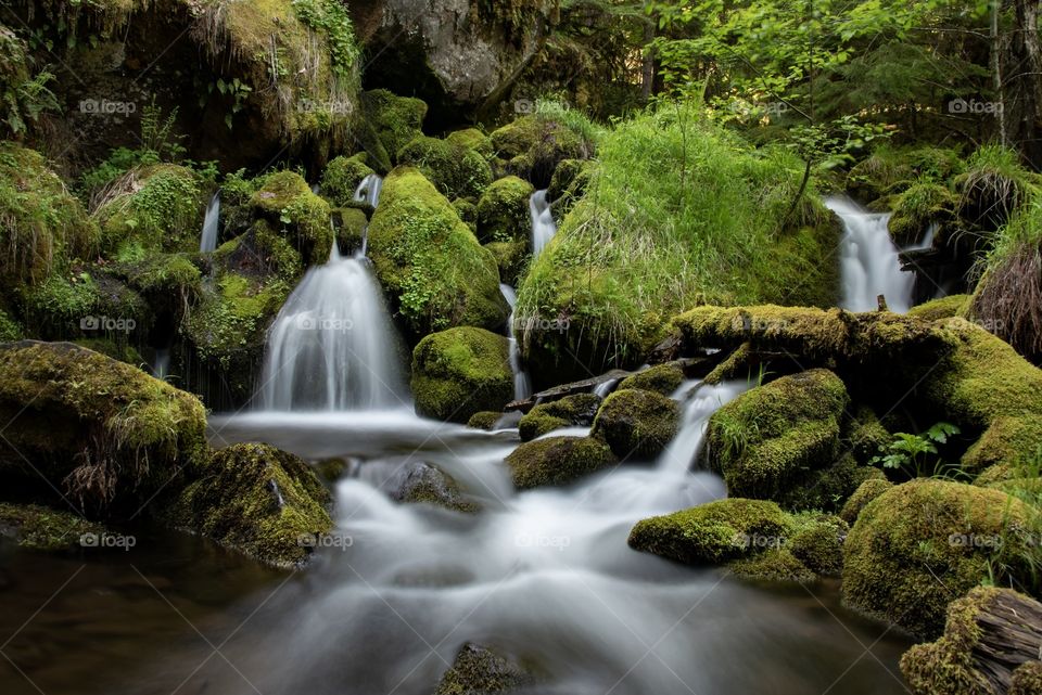 Mossy green Oregon river with mini waterfalls. 