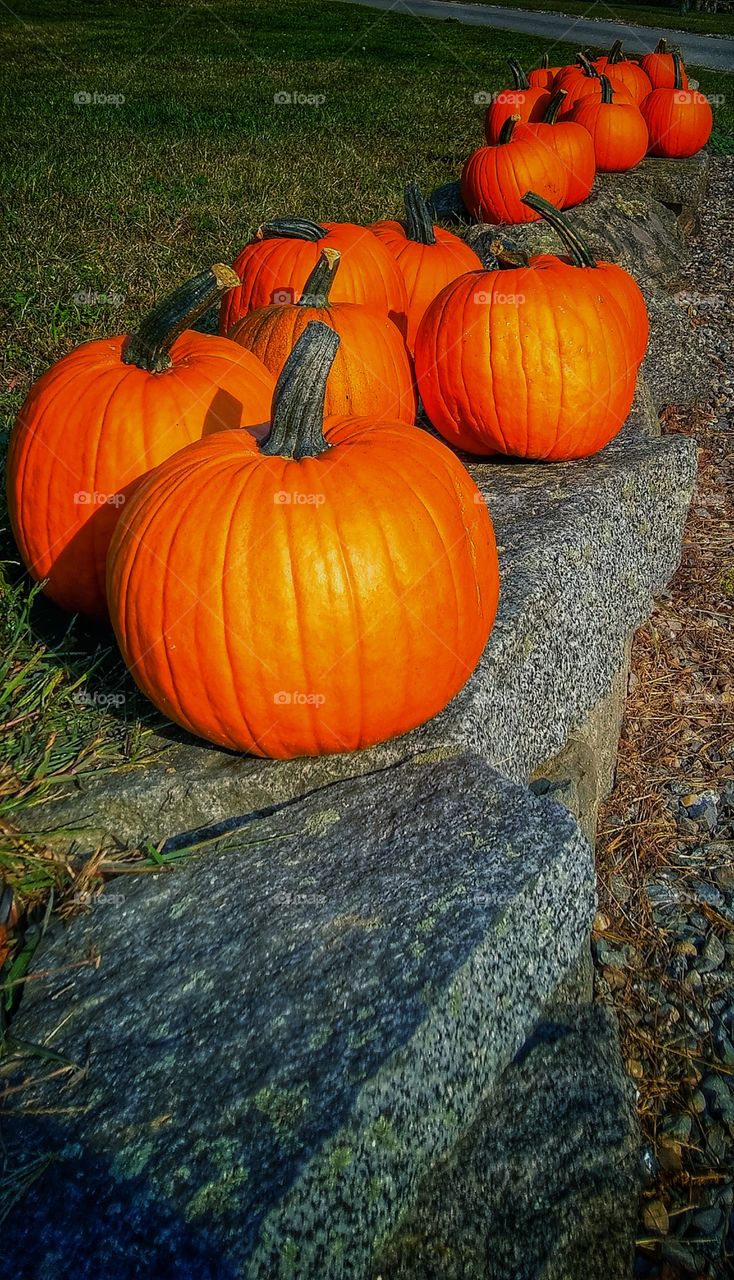 Pumpkins