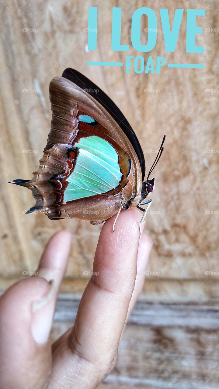 I love Foap