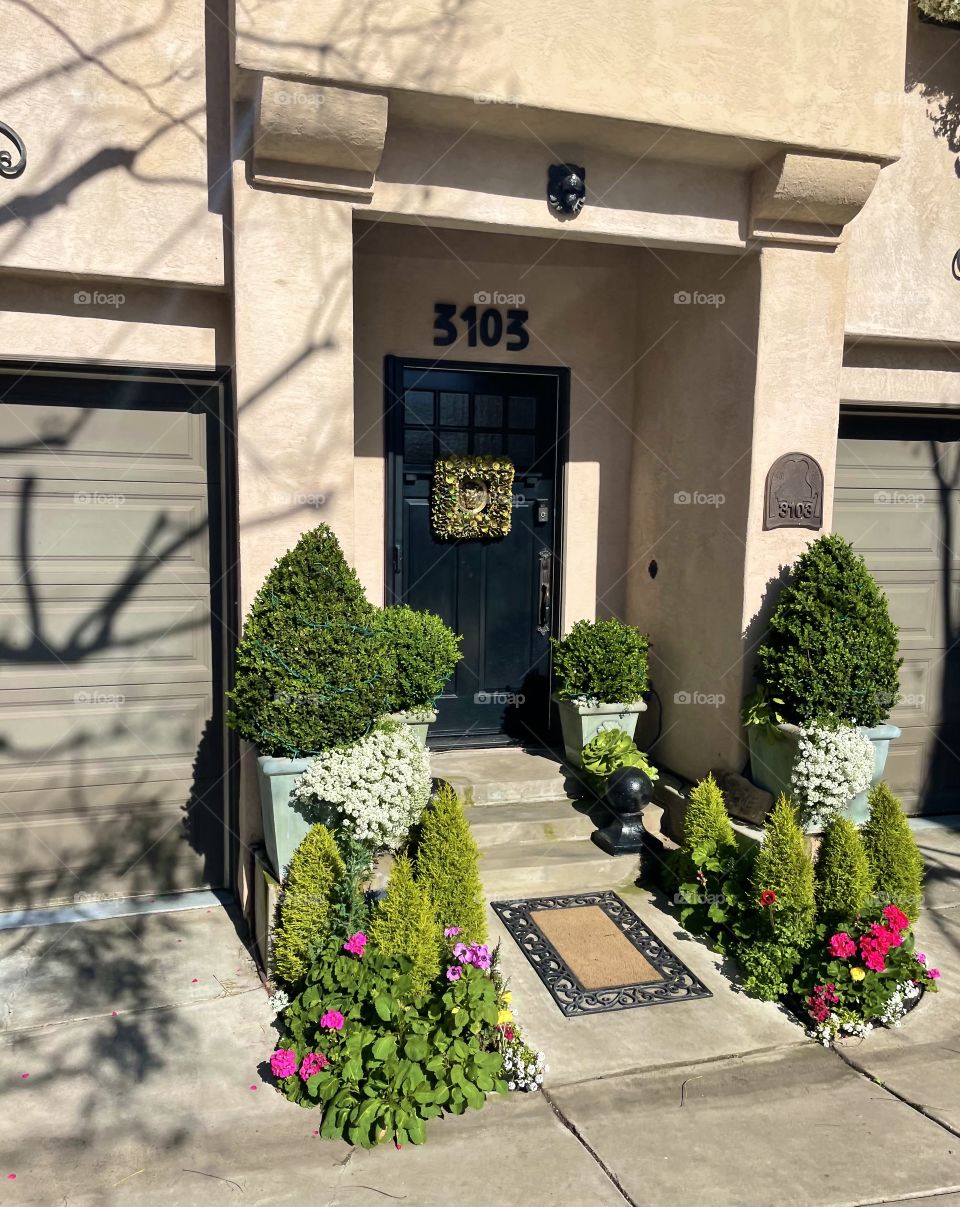 Welcome home to green manicured bushes 