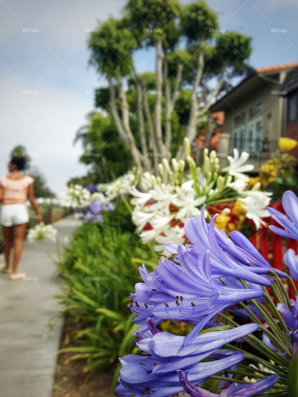 Enjoying the view along the Historical Canal District in Venice, California.