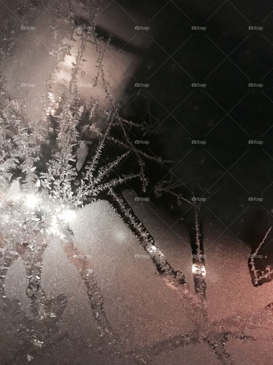 Frost ❄️