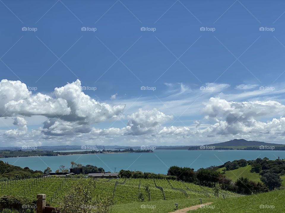 Waiheke Island, New Zealand 