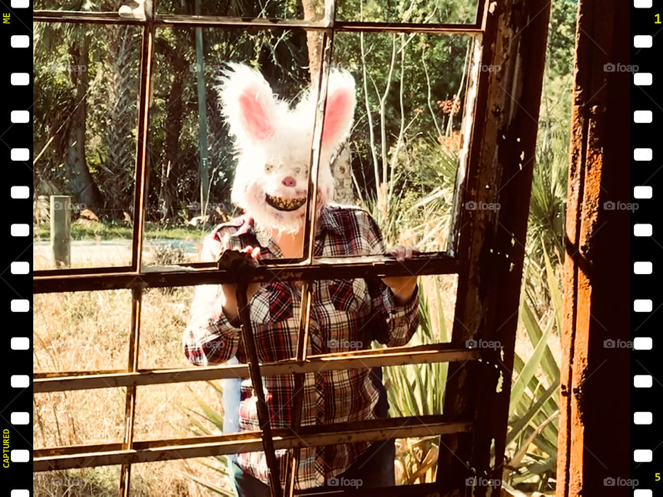 Portrait, Nature, Window, Cute, Face