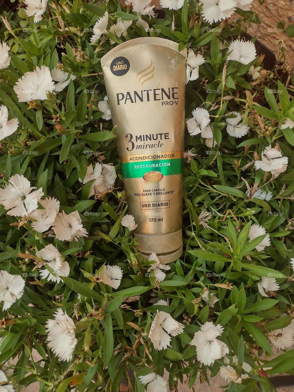 Suavidad que Invita..