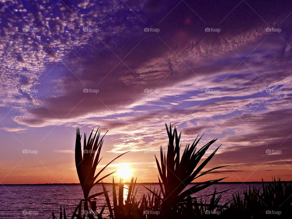 Mesmerizing sunset over the ocean with mauve colored sky and floating puffy clouds over an open waterway. The effects of weather on our moods, colors and emotions depends on our behavior and on how we think.