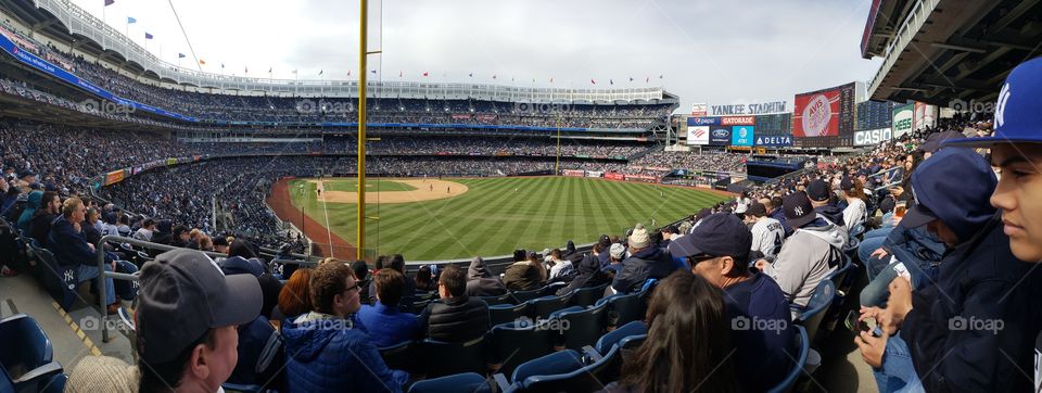 Yankee Stadium 🏟