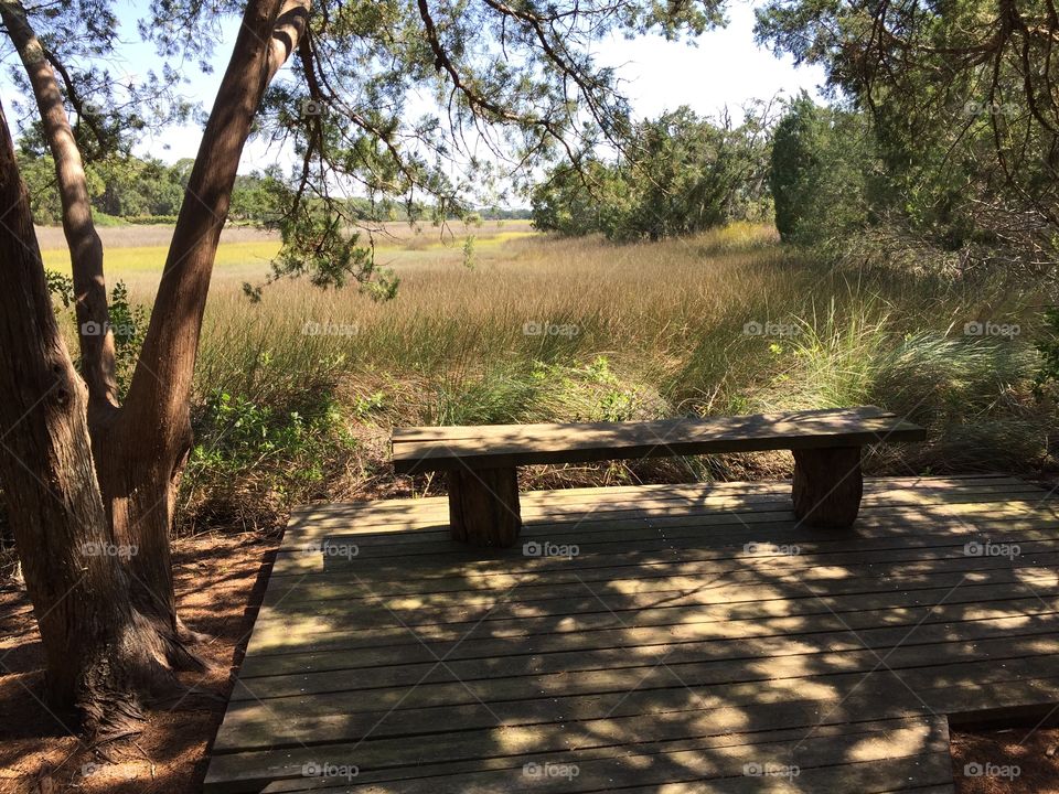 Bench at the marsh