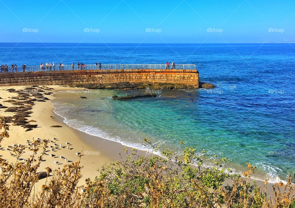 La Jolla Cove Children's Pool
