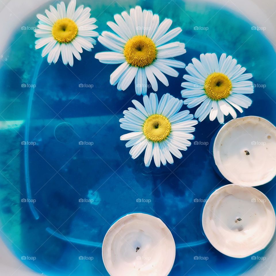 Daisy flowers and candles in blue water