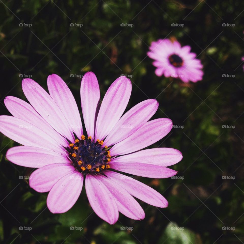 Yesterday I was clever, so I wanted to change the world...