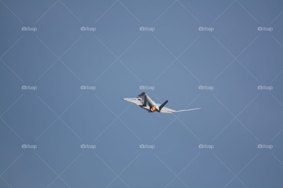 Flight, Bird, Airplane, Aircraft, Sky