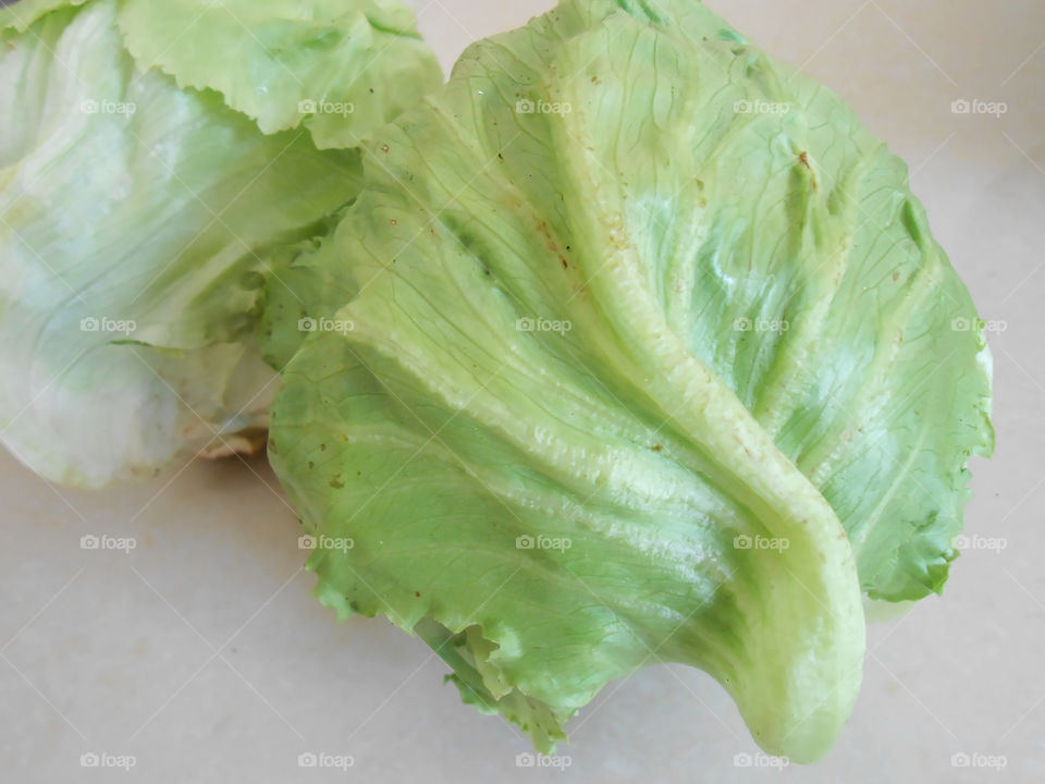 Close-up Lettuce