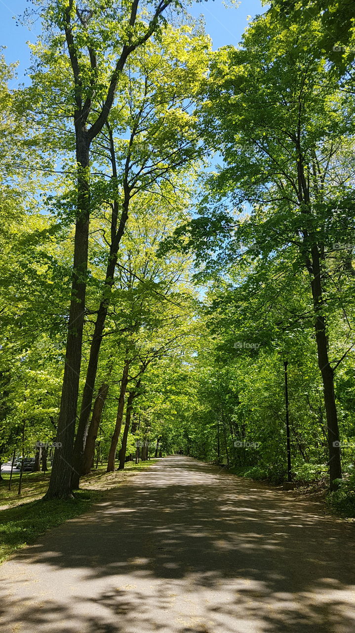 Main alley in the Bois-de-Coulange park in Quebec city, Quebec, Canada.