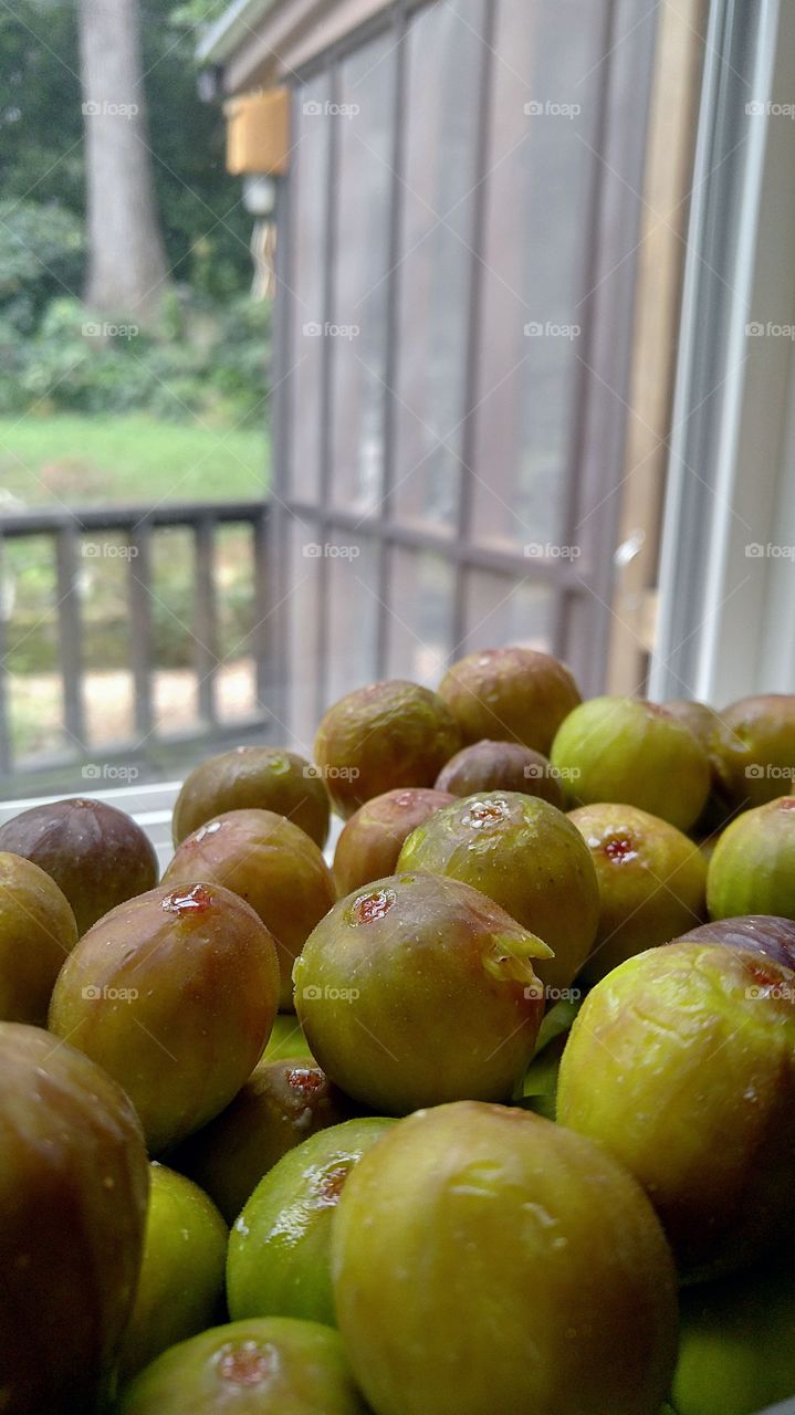 fresh figs