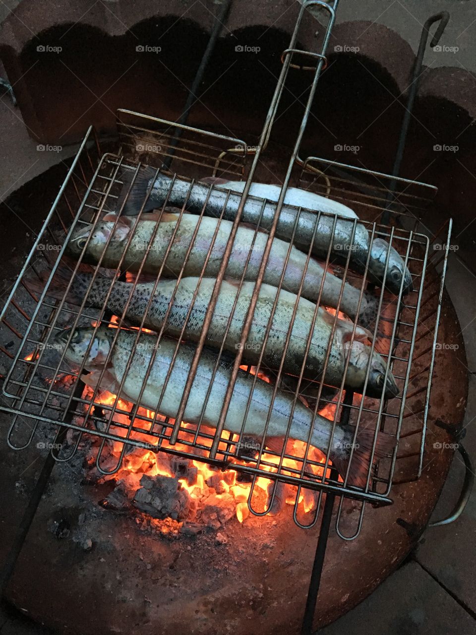 Rainbow trout cooked over an open fire