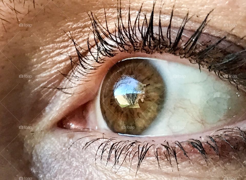 Close-up of a brown eye