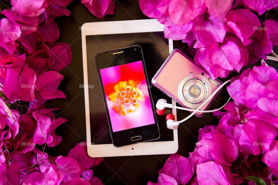 Girly gadgets - shades of pink with camera tablet phone ear phones and smartphone with punk flowers. Flat lay on a black background