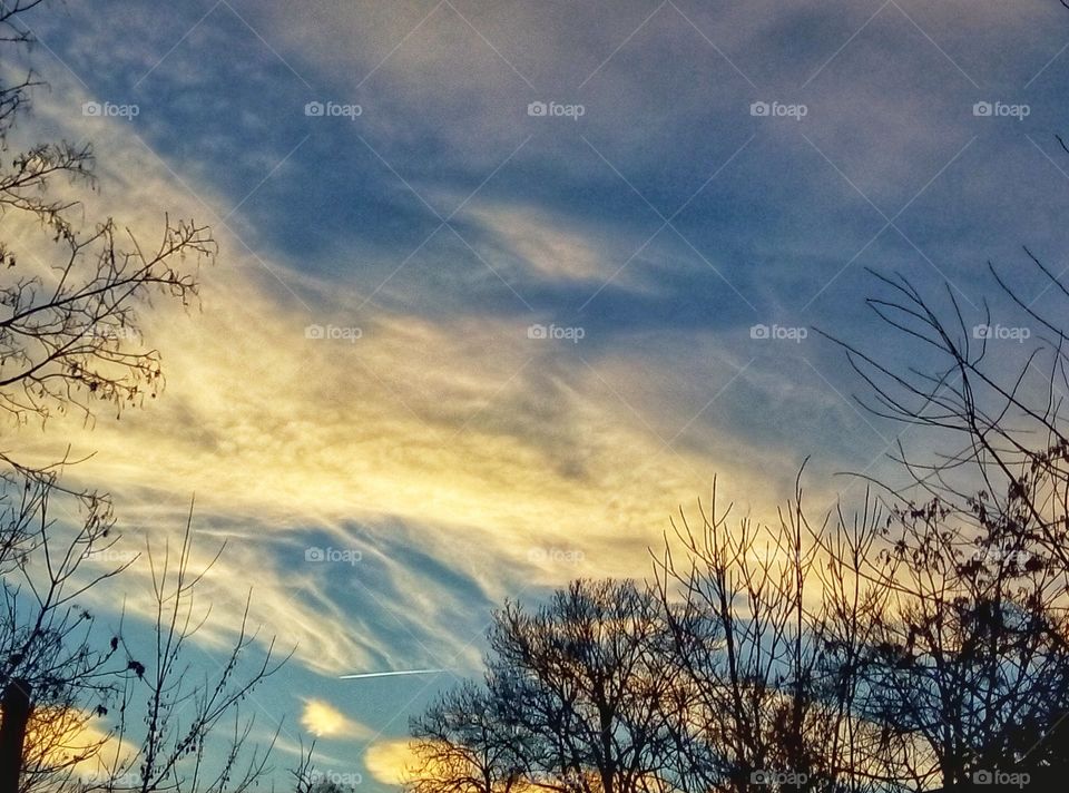 evening sky trees вечер небо деревья