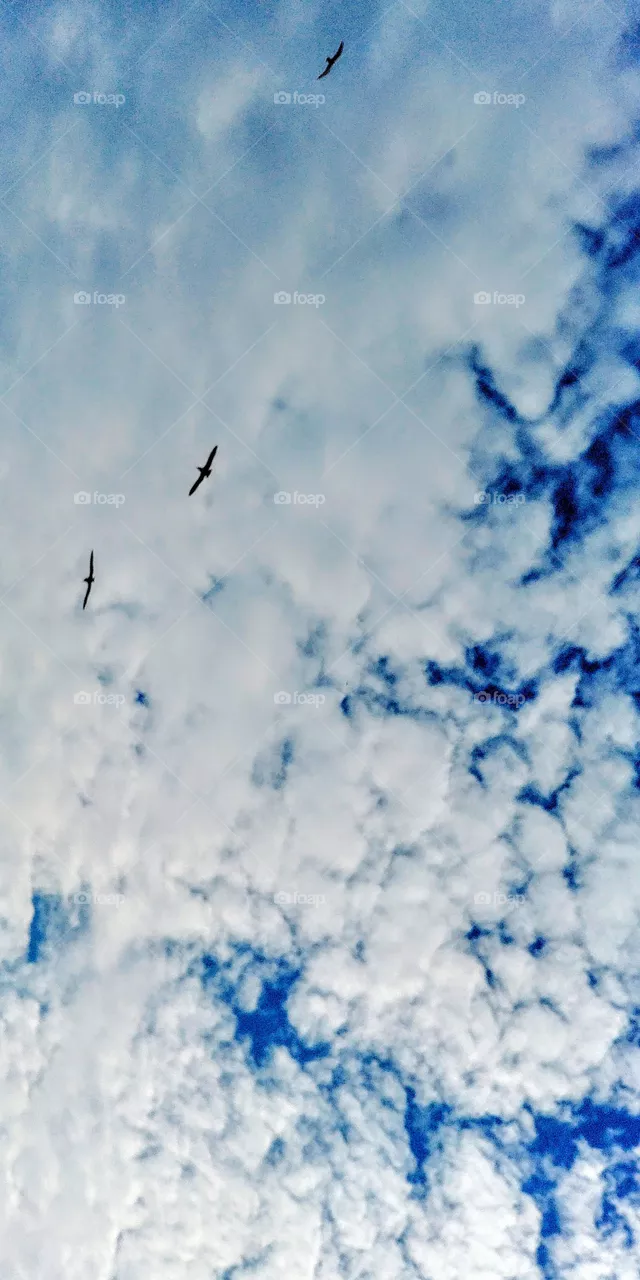 Sky💙