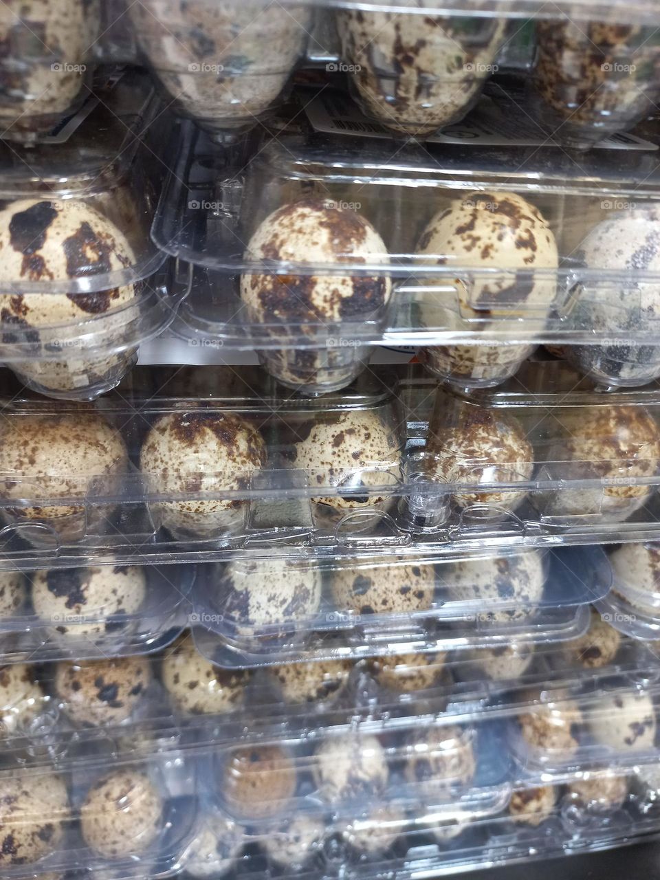 Ovos de Codorna. O ovo de Codorna é  rico em vitamina A e D. Também  contribui  para o desenvolvimento infantil, ele, fortalece os ossos, dentes e, potencializa a absorção  de cálcio e fósforo  pelo organismo