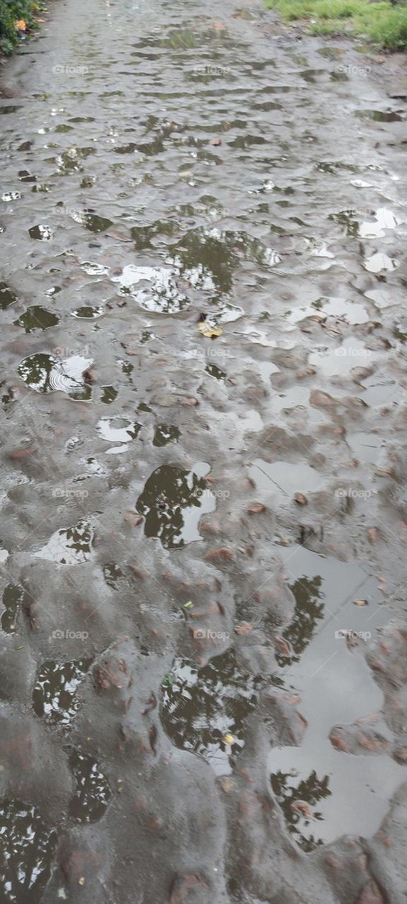 The road on a rainy day.