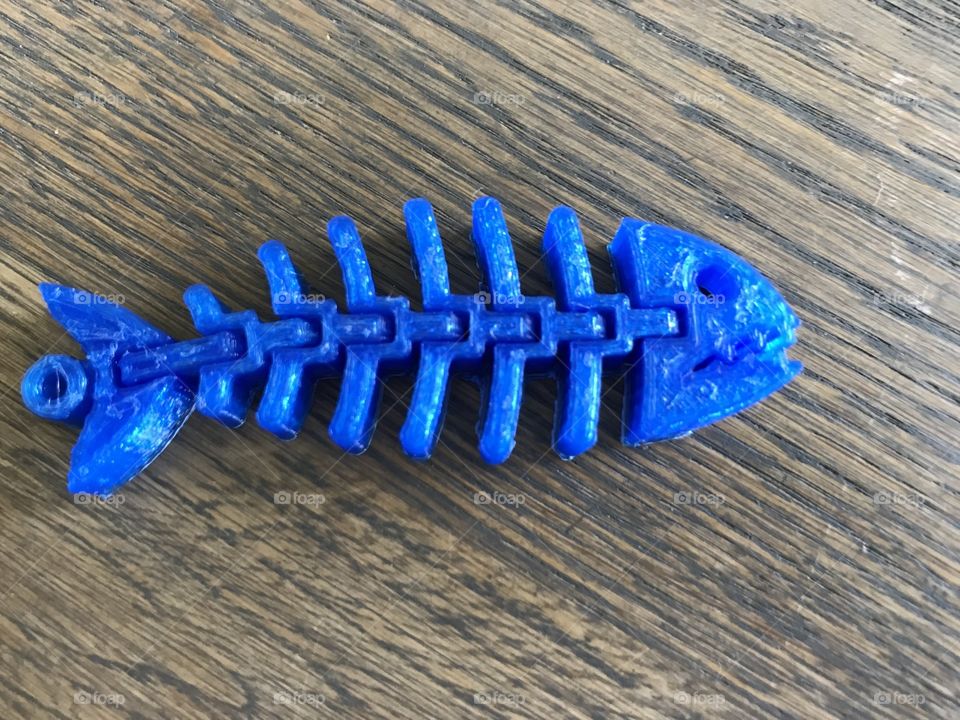 This is a blue 3D printed fish. It’s moveable and is made out of 8 pieces. This fish has it’s own album. Search for: “3D printed fish” in albums, or just look at my profile for the album.