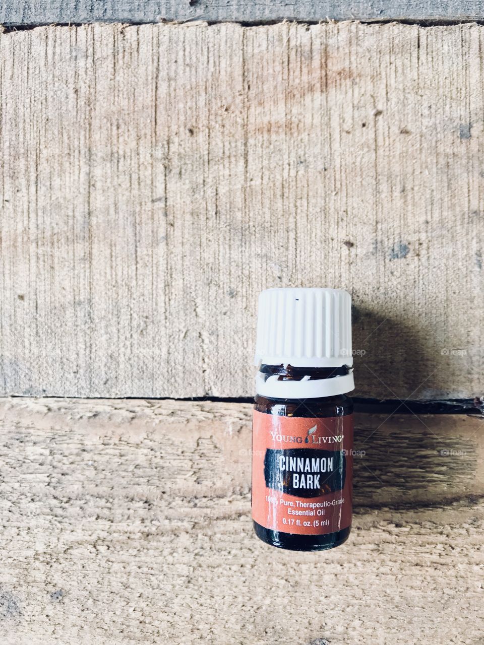 Fall photos for Young Living Essential oils.  This clean vibrant photo of Cinnamon Bark essential oil will drive the season into perspective for you!  Your team will need to market this short but lovely season of fall by this picture! 