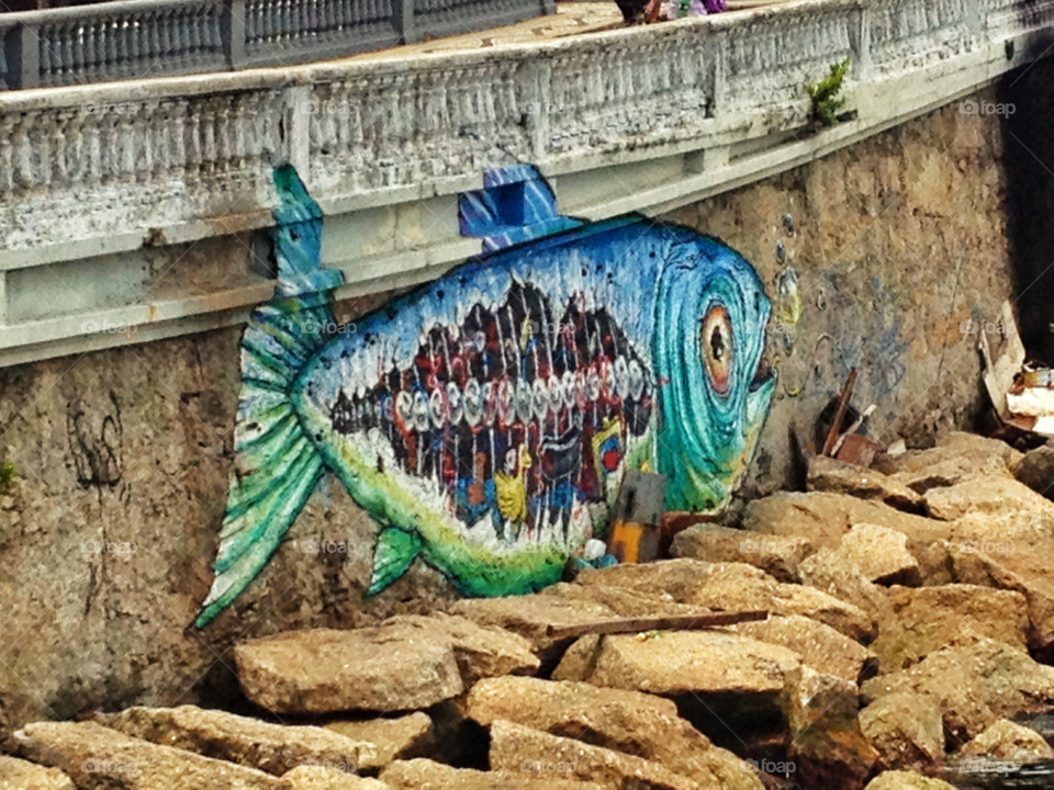 rio graffiti fish by doras