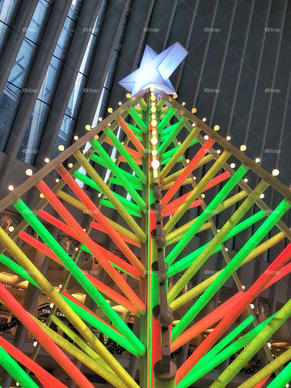 Lighted christmas tree at the Oculus