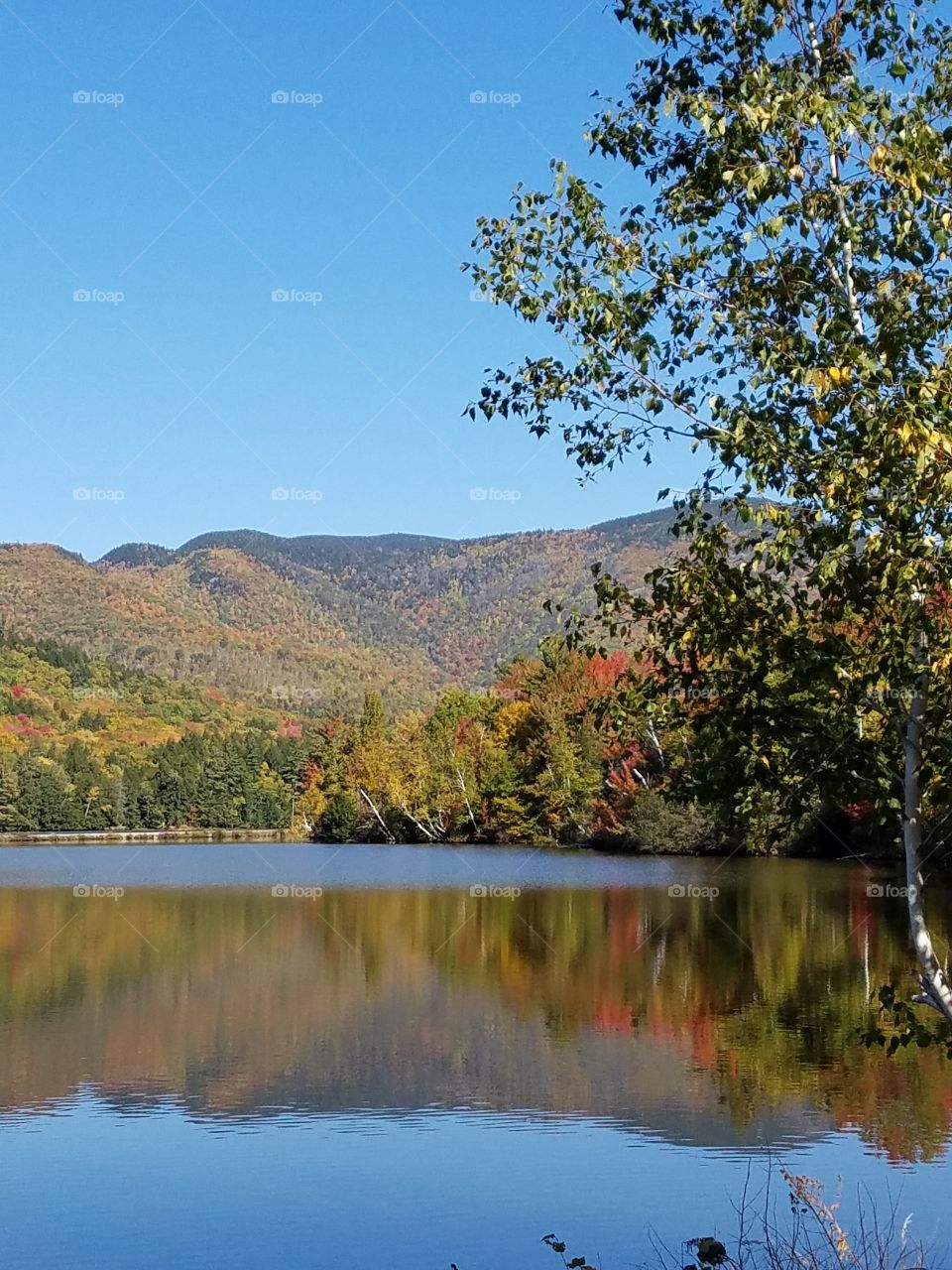 Reflection of autumn trees in lake